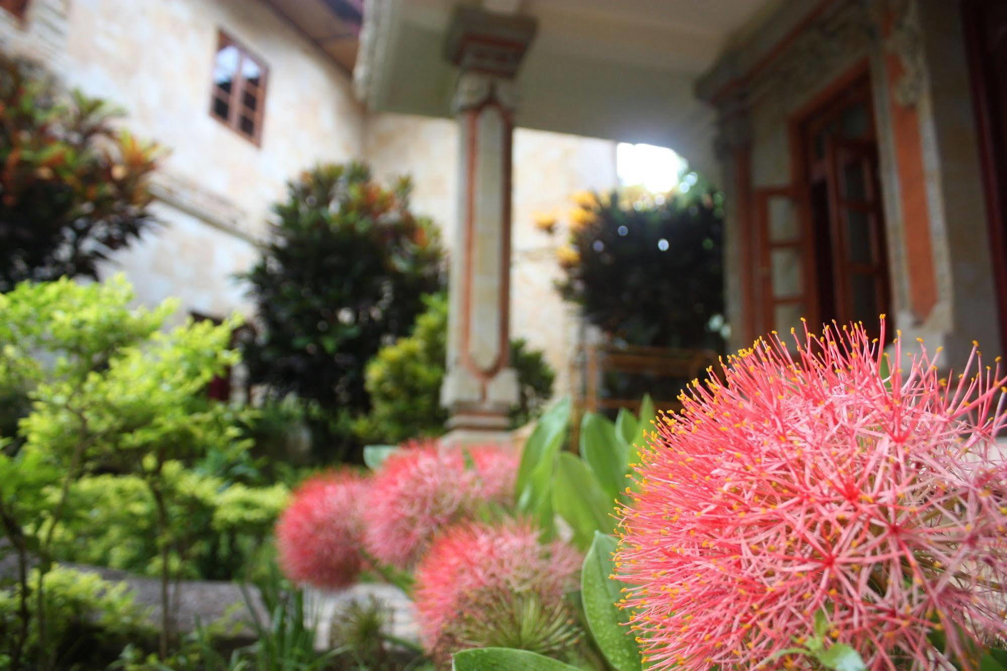 Rambutan Boutique Hotel Lovina  Exterior photo